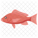 Snapper Fish Species Seafood Lovers Icon