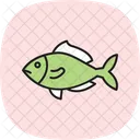 Snapper Ocean Marine Icon