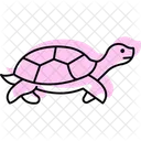 Snapping Turtle Icon