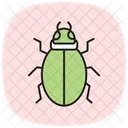 Snout Insect Curculionidae Icon
