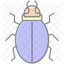 Snout Insect Curculionidae Icon