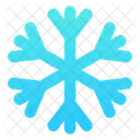 Snow Snowflake Winter Icon