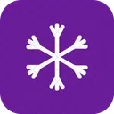 Snow Flake Snowflake Icon