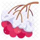 Snow Berries  Icon