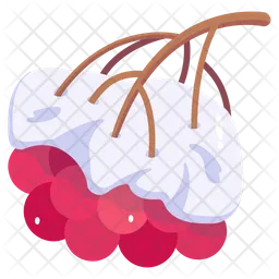 Snow Berries  Icon