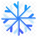 Snow Flake Snow Winter Icon