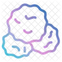 Snowball Snow Winter Icon