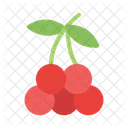 Snowberry Fruit Plant Icon