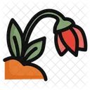 Snowdrop Flower Plant Icon