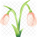 Snowdrop Nature Flower Icon