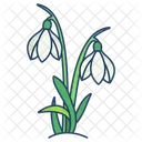 Snowdrop Flower Blossom Icon