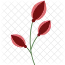 Snowdrop Flower Flower Bloom Icon