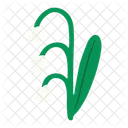 Snowdrop Flower Galanthus Snowdrop Icon