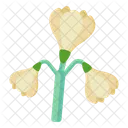 Snowdrop Flowers  Icon