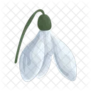 Snowdrop Icon