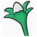 Snowdrop Galanthus Nature Icon