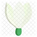 Snowdrop Flower Flowers Icon
