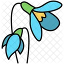 Snowdrop Nature Flower Icon