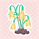 Snowdrop Plant  Icon