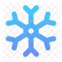 Snowflake Snow Winter Icon
