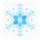 Snowflake Ice Snow Icon