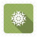 Snowflake  Icon