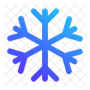 Snowflake Frost Winter Icon