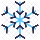 Snowflake Nature Winter Icon