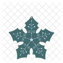 Snowflake Ornament Ice Crystal Icon