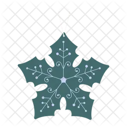 Snowflake  Icon