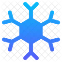 Snowflake Ice Crystal Snow Icon