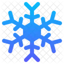 Snowflake Ice Crystal Winter Icon