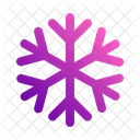 Snowflake Ice Snow Icon