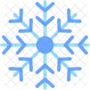 Snowflake Snow Winter Icon