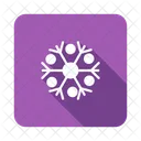 Snowflake Snowflakes Cold Icon