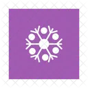 Snowflake Snowflakes Cold Icon