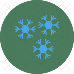 Snowflake  Icon