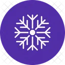 Snowflake Snow Frost Icon