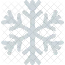 Snowflake Stellar Dendrites Icon
