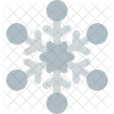 Snowflake Symmetrical Icon