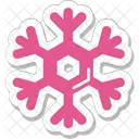 Snowflake Winter Snow Icon