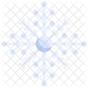 Snowflake Winter Snow Icon