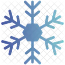 Snowflake Winter Cold Icon