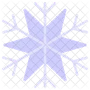 Winter Snow Snowflake Icon