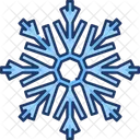 Snowflake Winter Snow Icon