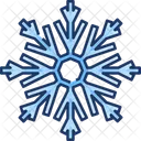 Snowflake Winter Snow Icon