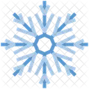 Snowflake Snow Cold Icon