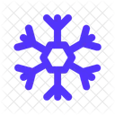 Winter Snowflake Snow Icon