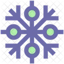 Snowflake Winter Snow Icon