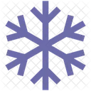 Snowflake Winter Snow Icon